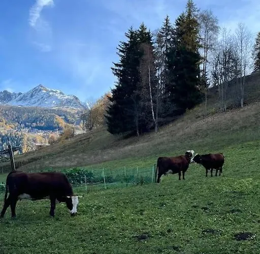 Superbe A Montchavin Apartman